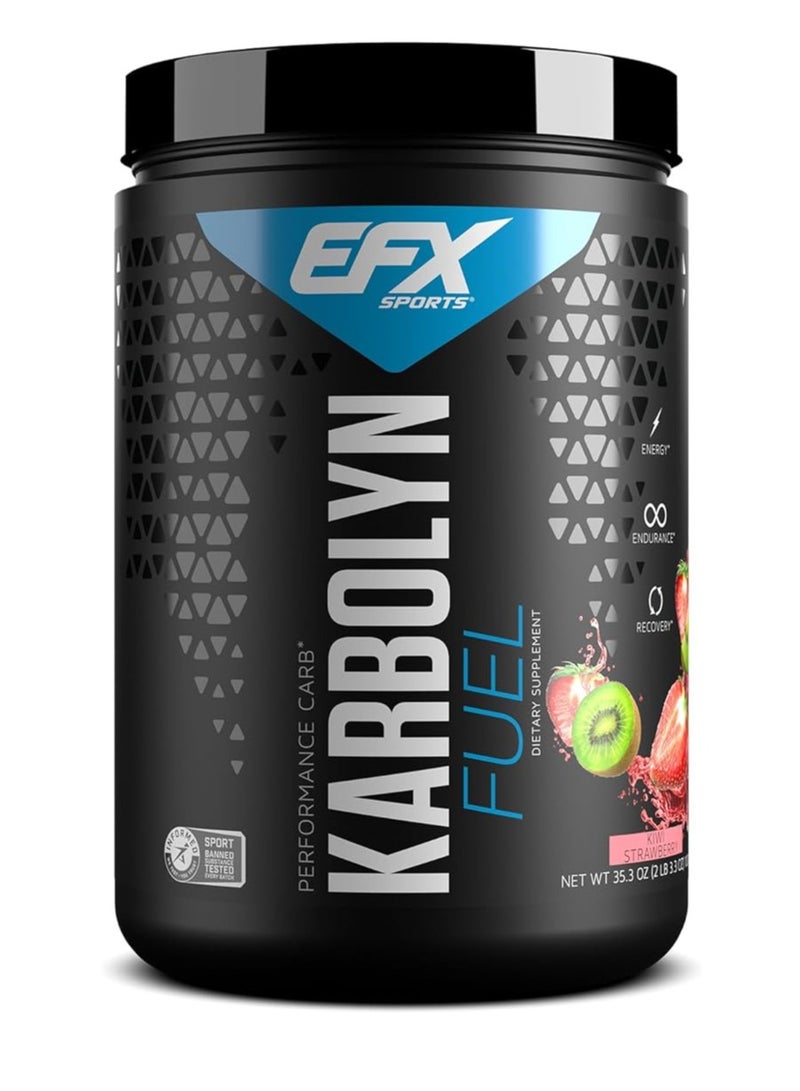 EFX SPORTS Sports Karbolyn Fuel 2 lb – Strawberry Kiwi, Complex Carbohydrate Powder for Athletic Endurance