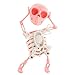 NAIHOD Dancing Skeleton Toy 3D Swinging Wind Up Skeleton Desktop Spring Clockwork Toy for Desk Decoration and Stress Relief - Image 3