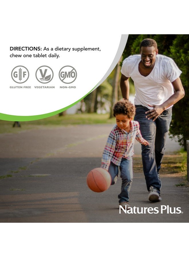 NaturesPlus Natures Plus D & K Complex - 60 Mixed Berry Chewables - Supports Calcium Metabolism - Vegetarian, Non-GMO, Gluten Free, Soy Free - 60 Servings - Image 5