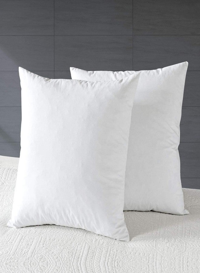 APSMILE Organic 20x20 Feather Down Throw Pillow Inserts Set of 2, 100% Cotton Fabric, Soft Fluffy Square Decorative Pillow Form Core for Sofa, Bed, Couch, Cushion Sham Stuffer - Image 1