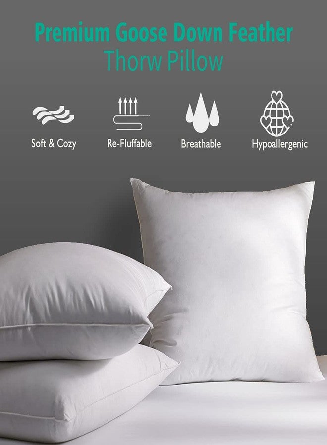 APSMILE Organic 20x20 Feather Down Throw Pillow Inserts Set of 2, 100% Cotton Fabric, Soft Fluffy Square Decorative Pillow Form Core for Sofa, Bed, Couch, Cushion Sham Stuffer - Image 3
