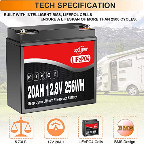 SDULIBITIY 12 Volt 20Ah Lithium Battery LiFePO4 12V LiFePO4 Battery 2000+ Deep Cycle Rechargeable Built-in BMS Battery Perfect for Kids Scooters, Fish finder, Solar, Off-Grid Applications - Image 2