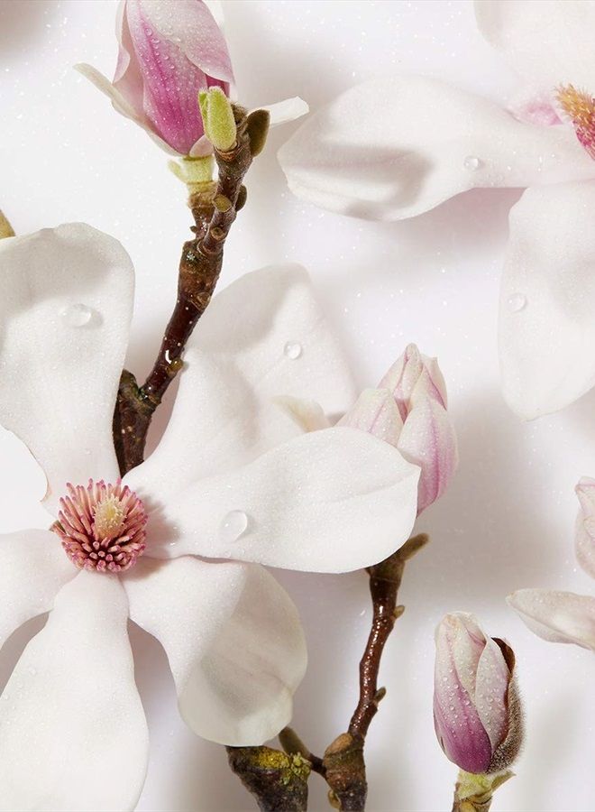 Nivea كريم تجديد خلايا البشرة المضاد للشيخوخة للعين - 15 مل - Image 4