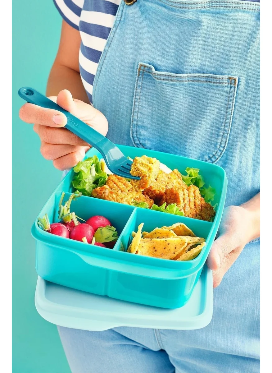 Tupperware Lunch Box with Compartments 1l Water Blue