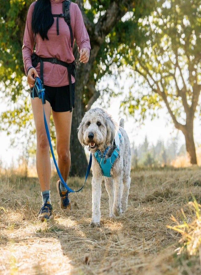 Ruffwear, Swamp Cooler Dog Harness, Lightweight with Evaporative Cooling for Hot Weather, Biolumin Blue, Small - Image 5