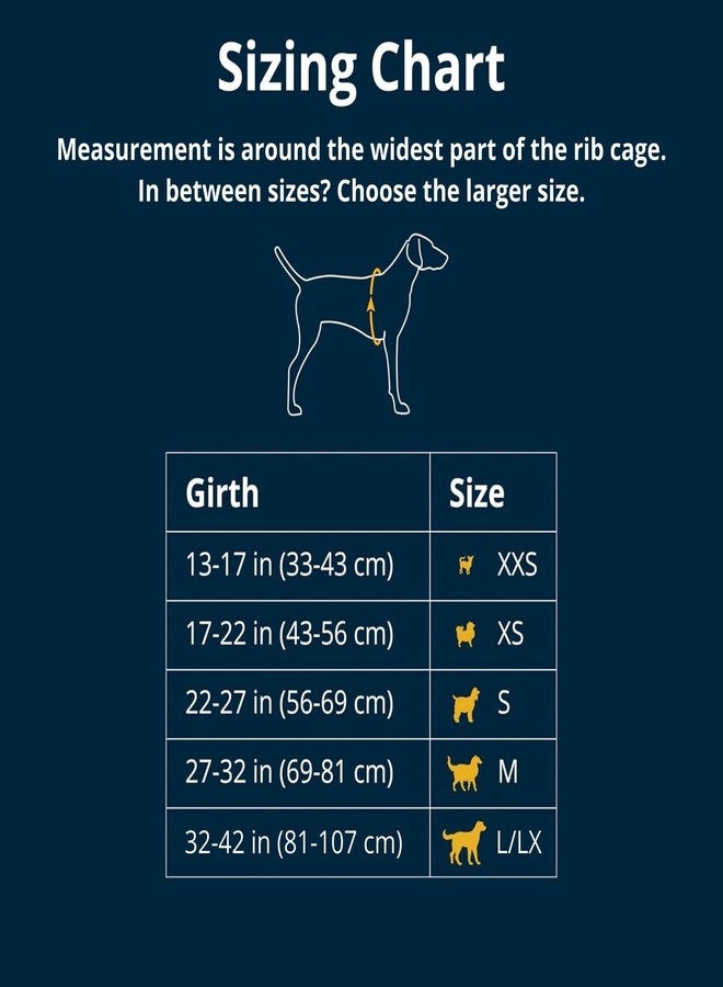 Ruffwear, Swamp Cooler Dog Harness, Lightweight with Evaporative Cooling for Hot Weather, Biolumin Blue, Small - Image 2