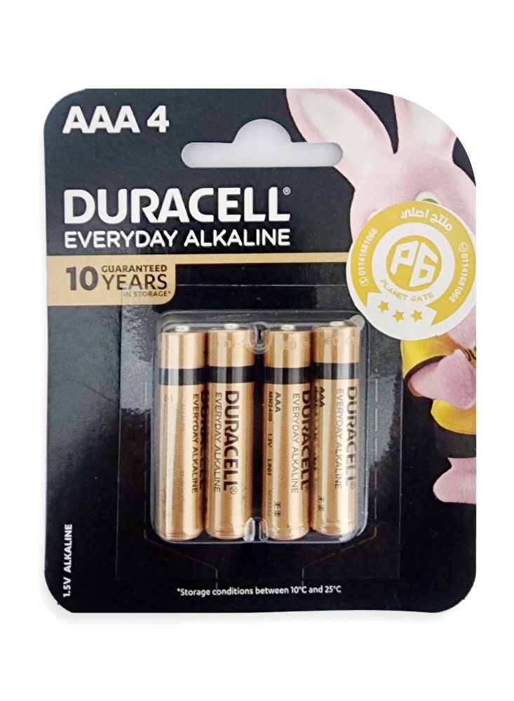 Duracell EveryDay Alkaline AAA Batteries - 4 Pieces Gold - Image 1