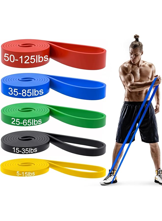 Pull Up Bands, Resistance Bands, Pull Up Assistance Bands Set for Men & Women, Exercise Workout Bands for Working Out, Body Stretching, Physical Therapy, Muscle Training