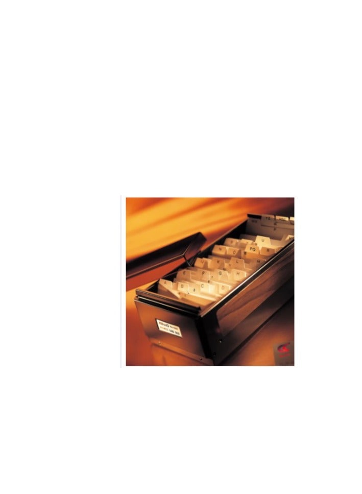 KWTrio KW-Trio Imported Business Card Organiser with Alphabetical Sorting for Office Upto 800 Cards Capacity - Image 2