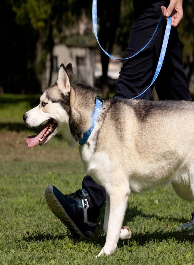 CollarDirect Floral Dog Leash Nylon Pattern Flower Print Adjustable Pet Leashes for Dogs Small Medium Large Puppy (M, Navy Blue) - Image 4