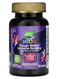 Kids Immune Gummy Ages 2+ 36 Gummies