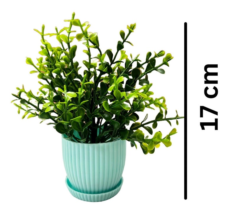 Dekorly ® Plastic 6 Packs Fake Plants Small, Mini Artificial Plants Indoor for Home Farmhouse Bathroom Shelf Décor (Light Blue, Height : 17CM) - Image 2