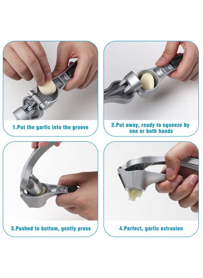 ReneeChef Garlic Press- 304 Stainless Steel Garlic Press Mincer, Easy-Squeeze Ergonomic Handle, Dishwasher Safe, Rust Proof, Professional Garlic Crusher for Cloves, Onion, Ginger etc. -With Brush - Image 3