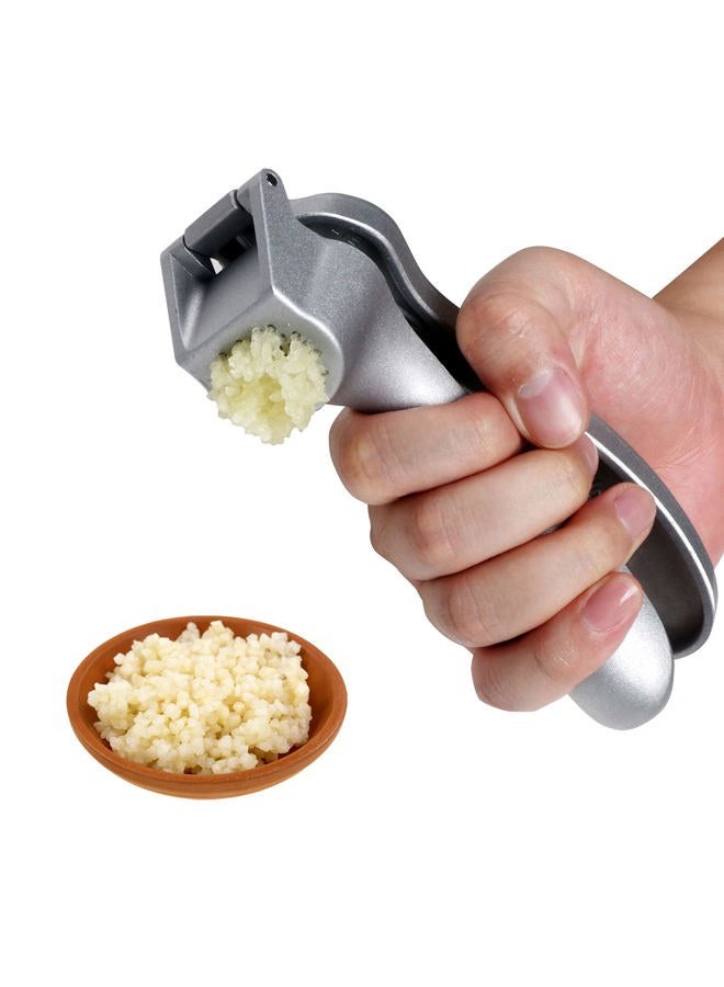 ReneeChef Garlic Press- 304 Stainless Steel Garlic Press Mincer, Easy-Squeeze Ergonomic Handle, Dishwasher Safe, Rust Proof, Professional Garlic Crusher for Cloves, Onion, Ginger etc. -With Brush - Image 2