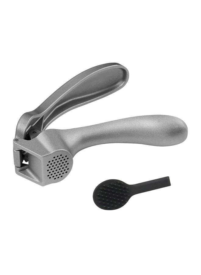 ReneeChef Garlic Press- 304 Stainless Steel Garlic Press Mincer, Easy-Squeeze Ergonomic Handle, Dishwasher Safe, Rust Proof, Professional Garlic Crusher for Cloves, Onion, Ginger etc. -With Brush - Image 1