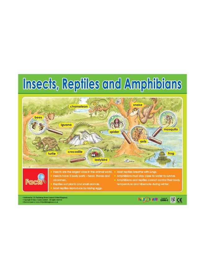 123 Publishing House Insects, Reptiles and Amphibians - Wall Chart in English - Image 1