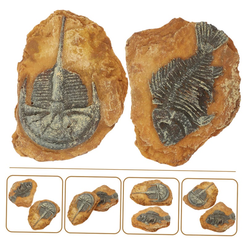صخور حوض أسماك واقعية ٢ قطعة أحافير محاكاة من الراتنج لتزيين حوض النباتات وبيئات الزواحف المائية - Image 4