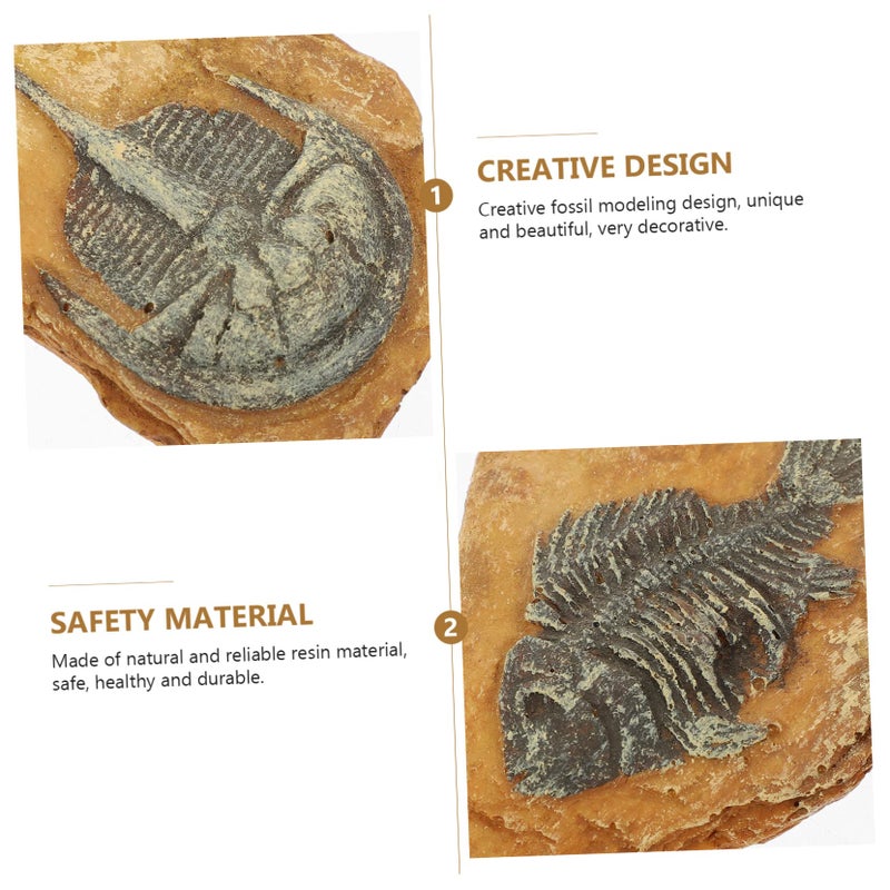 صخور حوض أسماك واقعية ٢ قطعة أحافير محاكاة من الراتنج لتزيين حوض النباتات وبيئات الزواحف المائية - Image 5