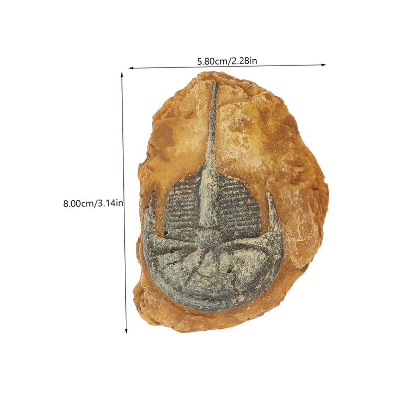 صخور حوض أسماك واقعية ٢ قطعة أحافير محاكاة من الراتنج لتزيين حوض النباتات وبيئات الزواحف المائية - Image 3