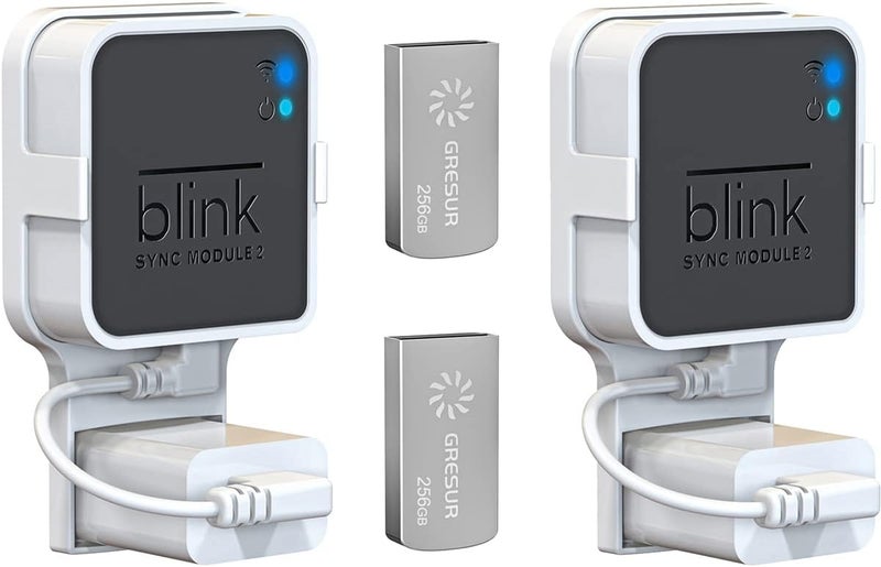 256GB Blink USB Flash Drive for Local Video Storage with The Blink Sync Module 2 Mount (Blink Add-On Sync Module 2 is NOT Included),2Pack - Image 1