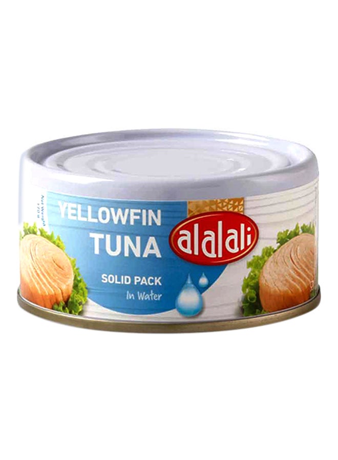 Yellowfin Tuna In Water
