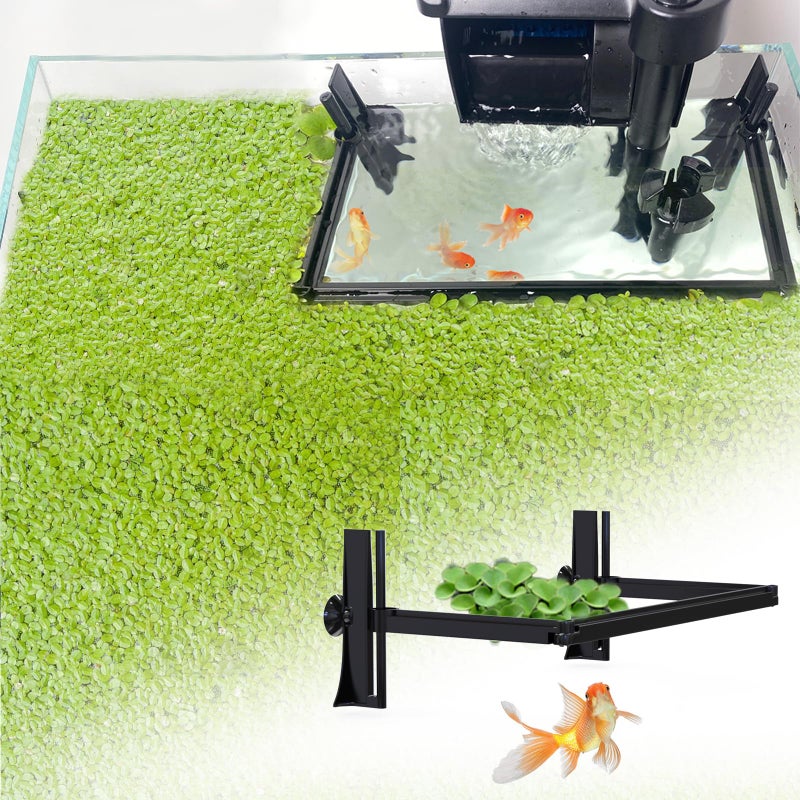Pryitier Aquarium Floating Plant Barrier, Floating Plant Corral Self Adjusts to Water Level Fish Tank Fence Keeps the Floaters Away from the Filter - Image 1