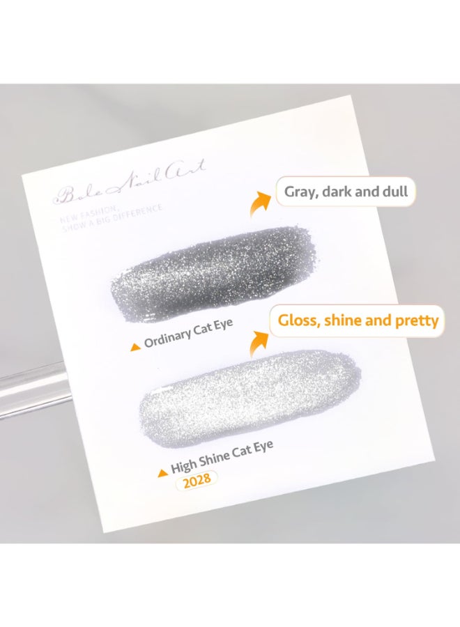 GAOY Cat Eye Gel Nail Polish 16ml Silver Glitter Holographic Nail Polish with Magnet Reflective Translucent UV Gel 2028 Crystal - Image 4