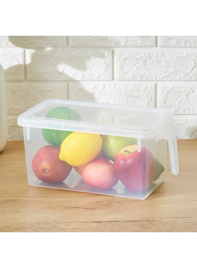 Home Box Vega Storage Organiser With Handle - 29.5X15.5X14 Cm