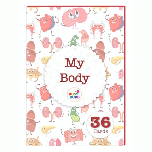 Busy Bubb - My Body Parts Flash Cards | 36 Laminated Cards | Age Group: 2-4 Years | Science Educational & Fun Activity for Kids - Image 1