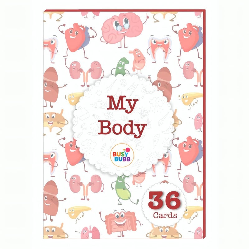 Busy Bubb - My Body Parts Flash Cards | 36 Laminated Cards | Age Group: 2-4 Years | Science Educational & Fun Activity for Kids - Image 5