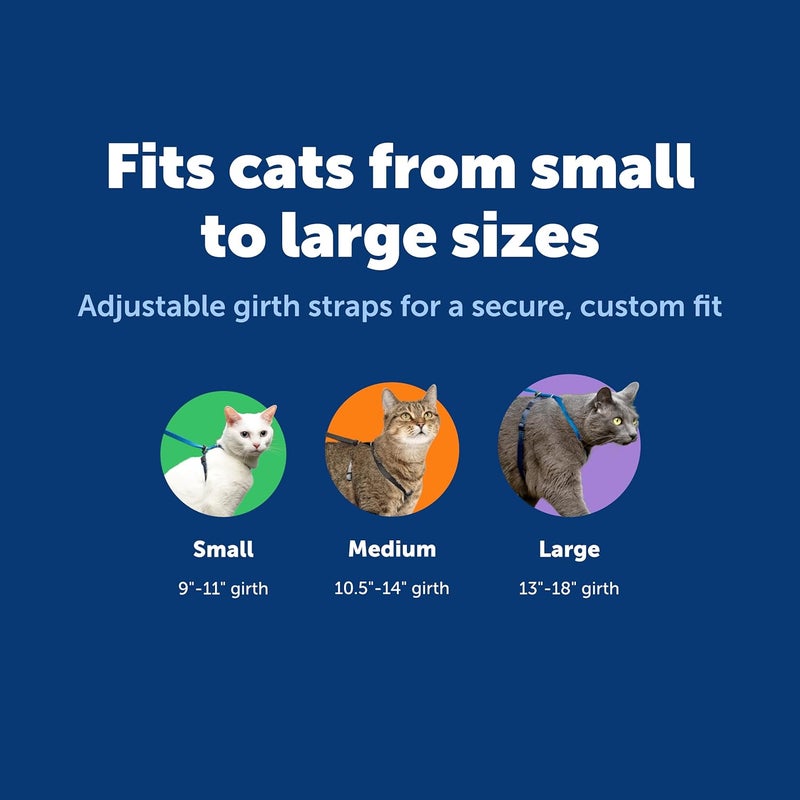 PetSafe حزام قطة كاتي مع حبل بونجي - حزام مريح بدون اختناق مع حبل بونجي خفيف الوزن للمتعة في الهواء الطلق - منع السحب الهارب - صغير - أزرق ملكي - Image 5