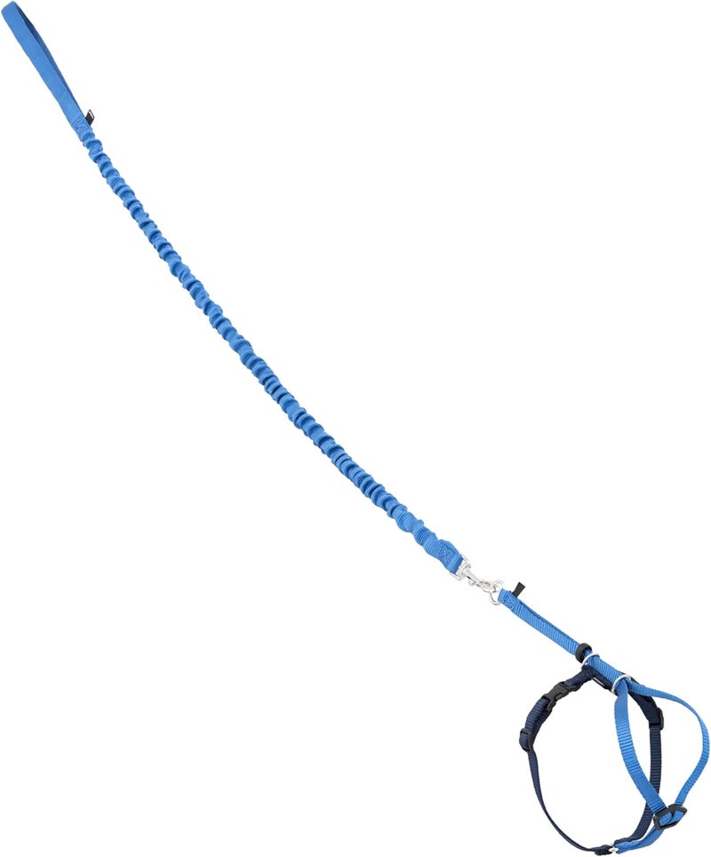 PetSafe حزام قطة كاتي مع حبل بونجي - حزام مريح بدون اختناق مع حبل بونجي خفيف الوزن للمتعة في الهواء الطلق - منع السحب الهارب - صغير - أزرق ملكي - Image 1
