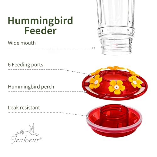 Jealoeur 2 Pack Hummingbird Feeder for Outdoors Hanging, 18 OZ Humming Birds Feeders with 6 Bee Guard Feeding Ports & Built-in Ant Moat, Easy to Clean, Durable Outdoor Garden Decor(Clear BB) - Image 4