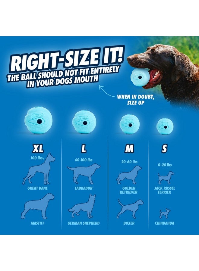 تشاكيت! لعبة تشاكيت! كرة صفارة للكلاب، عبوة من قطعتين، متعددة الألوان، متوسطة (قطرها ٢٫٥ بوصة) للكلاب من ٢٠ إلى ٦٠ رطلاً - Image 4