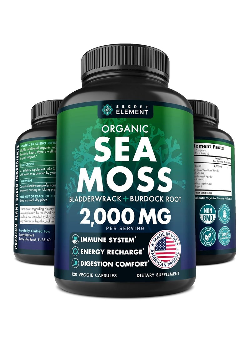 SECRET ELEMENT - Organic Sea Moss 2000mg 120 Capsules - Image 1