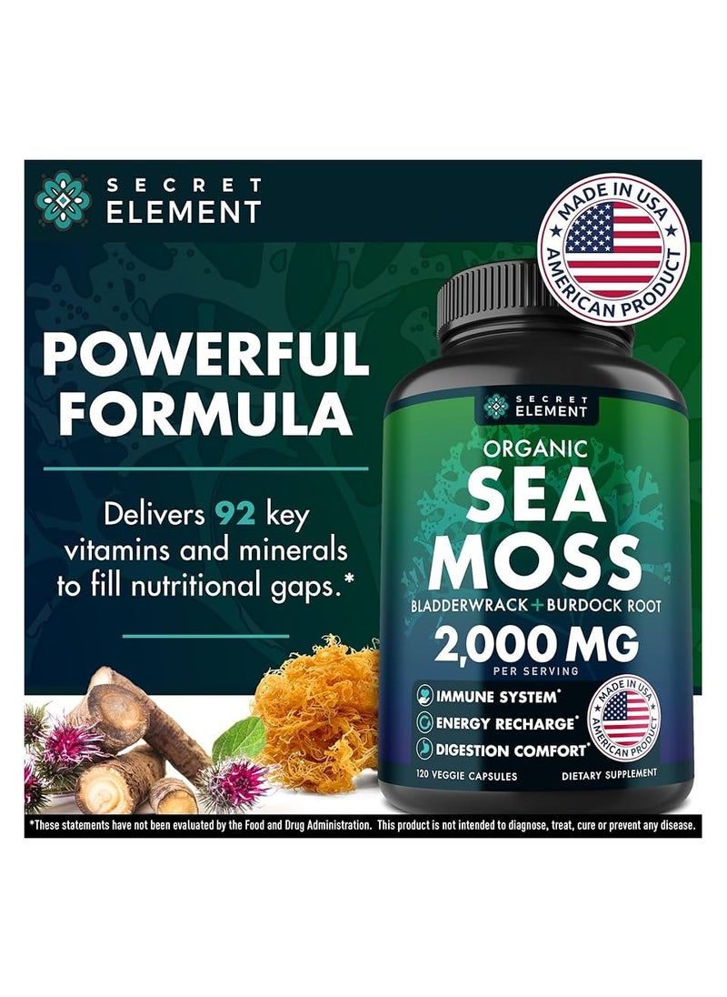 SECRET ELEMENT - Organic Sea Moss 2000mg 120 Capsules - Image 1