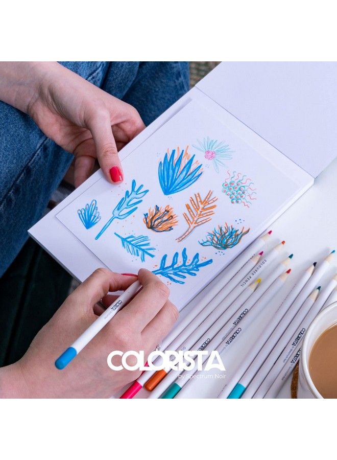 Spectrum Noir Colorista Coloured Pencils Pack Of 12 Floral Sensation - Image 5