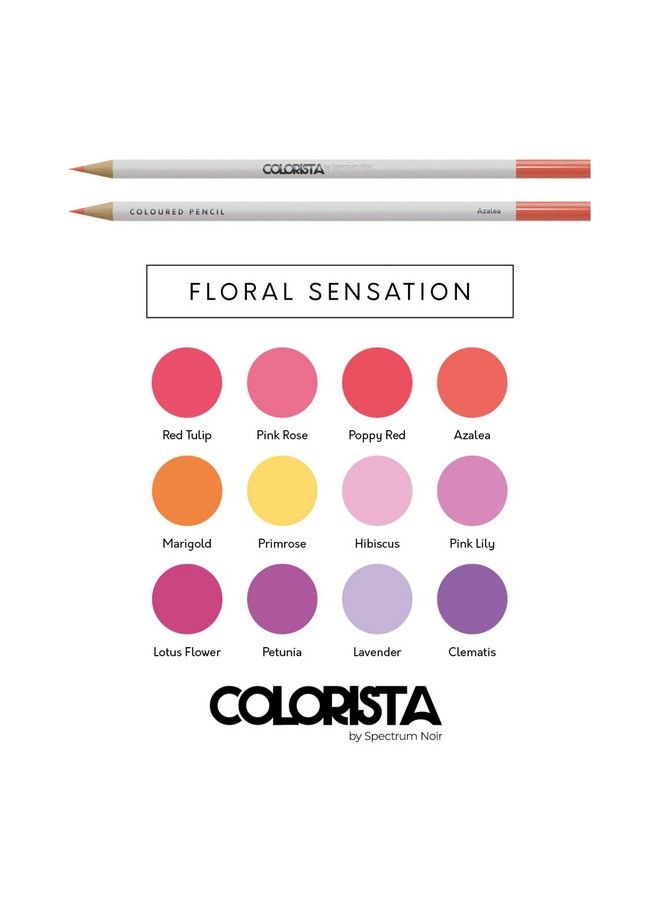 Spectrum Noir Colorista Coloured Pencils Pack Of 12 Floral Sensation - Image 3