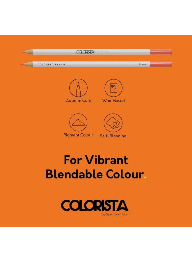 Spectrum Noir Colorista Coloured Pencils Pack Of 12 Floral Sensation - Image 4