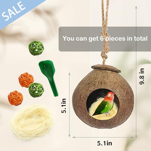 kathson Natural Coconut Shell Bird Nest,Hanging Coco Birds House,Parrots Hide Hut Habitats Decor,Parrot Cage Accessories for Lovebirds Cockatiel Canary Budgies,Feeder Spoon,4 Toy Balls(6 Pcs) - Image 5