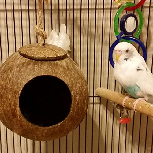 kathson Natural Coconut Shell Bird Nest,Hanging Coco Birds House,Parrots Hide Hut Habitats Decor,Parrot Cage Accessories for Lovebirds Cockatiel Canary Budgies,Feeder Spoon,4 Toy Balls(6 Pcs) - Image 4