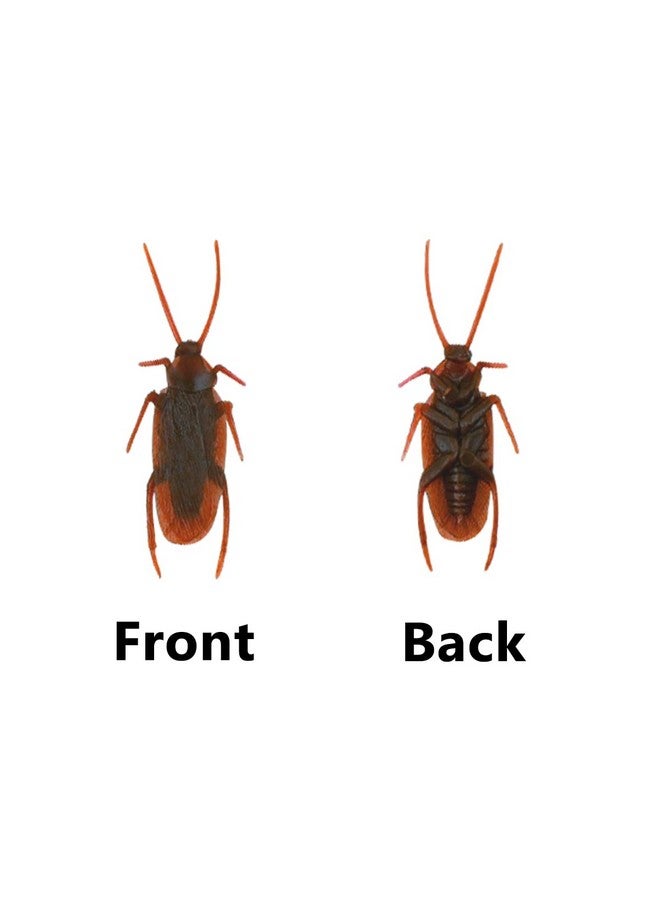 yuntop 15 Pcs Prank Fake Roaches Model Pretty Creepy Fake Cockroach Realistic Plastic Bugs Trick Joke Roach Toys Look Real Scary Insects Novelty Lifelike Cockroaches For Party Favors Halloween Decoration - Image 4