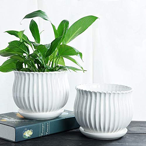 Yesland Ceramic Flower Plant Pots with Saucer, Set of 3 in Different Sizes, Modern Round Ceramic Succulent Planter Pots with White Stripe Texture for Garden - Image 2