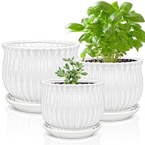 Yesland Ceramic Flower Plant Pots with Saucer, Set of 3 in Different Sizes, Modern Round Ceramic Succulent Planter Pots with White Stripe Texture for Garden - Image 1