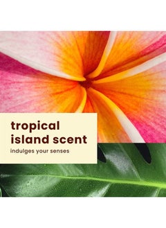 Hawaiian Tropic Weightless Hydration Lotion Sunscreen SPF 30, 6oz | Oil Free Sunscreen, Hawaiian Tropic Sunscreen SPF 30, Oxybenzone Free Sunscreen, Body Sunscreen Pack SPF 30, 6oz each Twin Pack  - Image 4