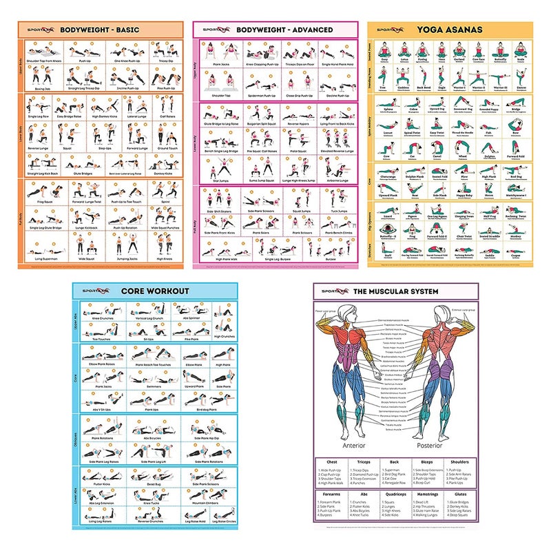 SPORTAXIS SPORTAXIS 5 Pack Laminated Workout Posters for Home Without Equipment Color Illustrations Bodyweight Basic Building Exercises Yoga Abs Training for Men and Women 18x27 Inches