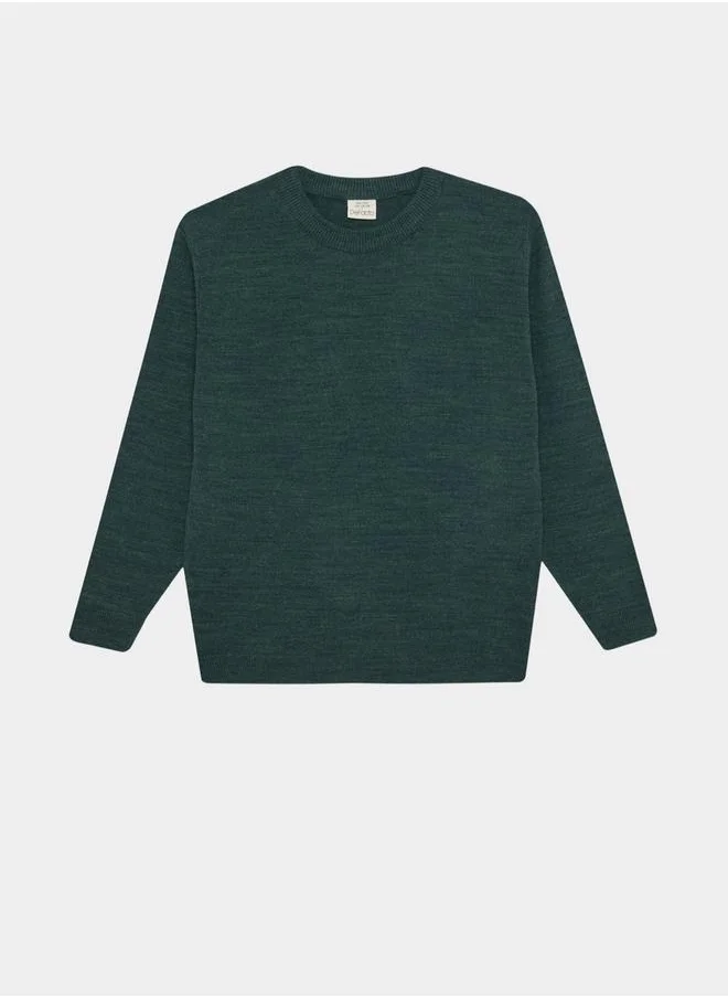 ديفاكتو Regular Fir Crew Neck Knit Sweater