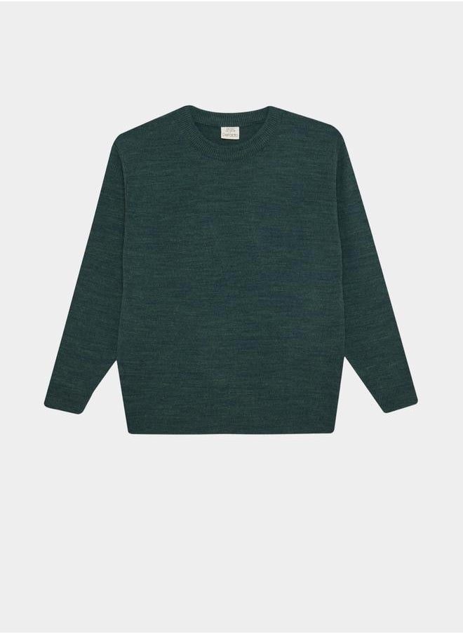 DeFacto - Regular Fir Crew Neck Knit Sweater by Styli - Image 1