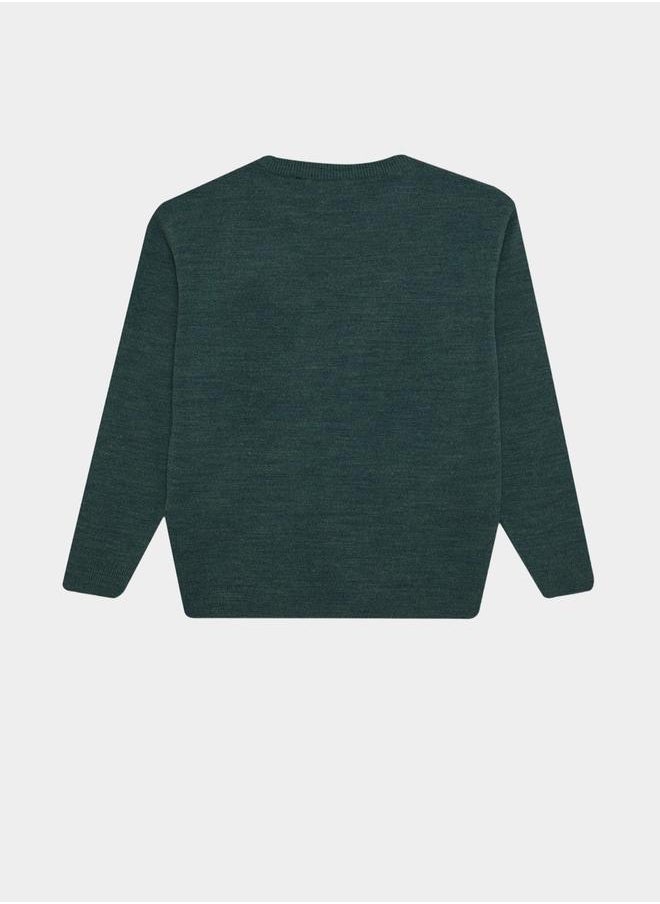 DeFacto - Regular Fir Crew Neck Knit Sweater by Styli - Image 1
