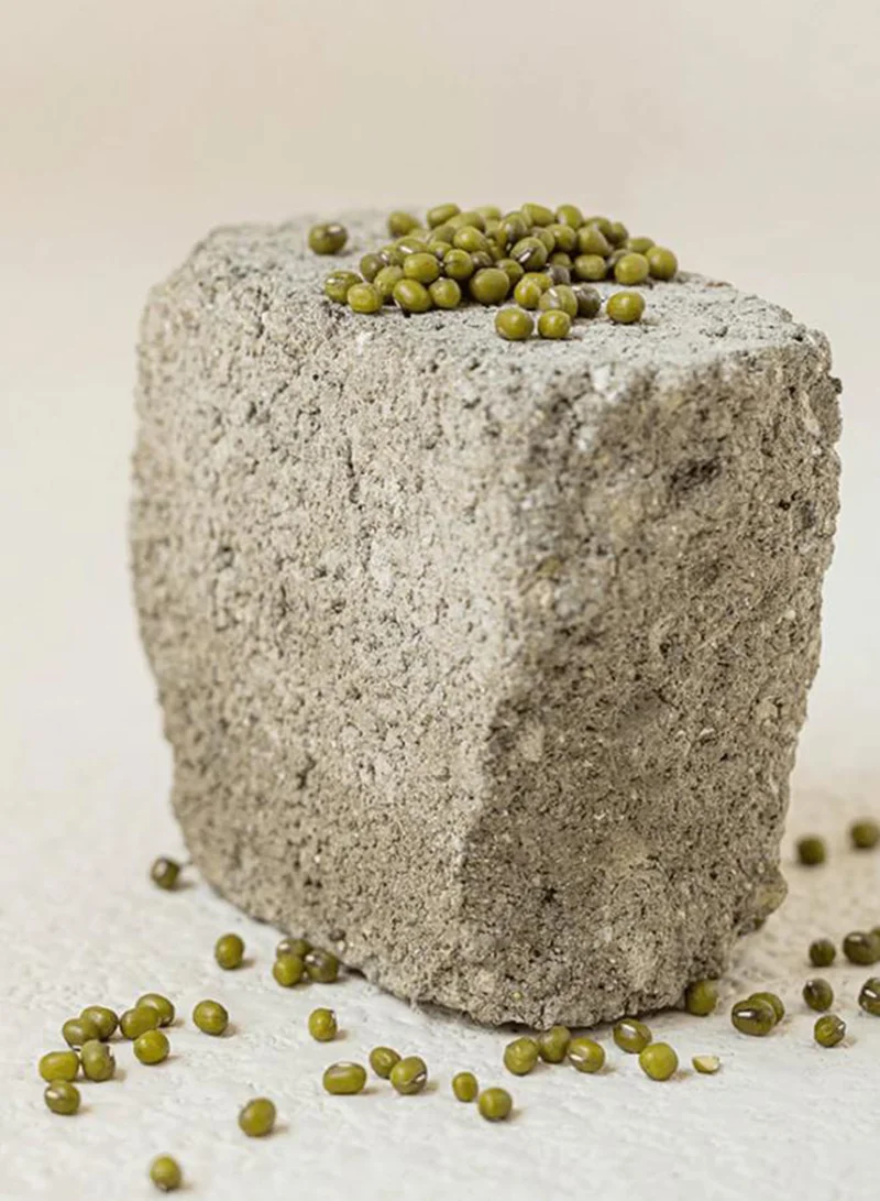 Beauty of Joseon Green Plum Refreshing Toner : Aha + Bha